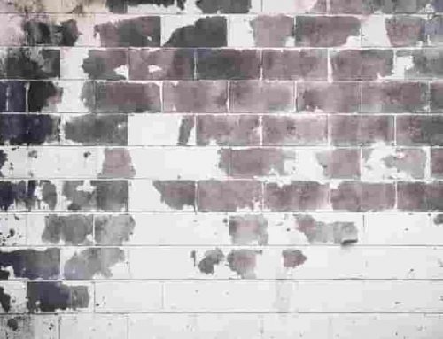 Bronx Still Plagued by Lead Paint Poisoning