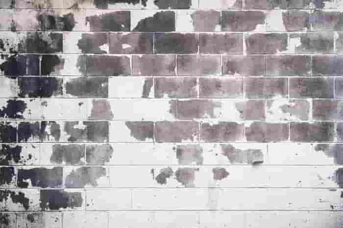 BRONX LEAD POISONING ATTORNEY