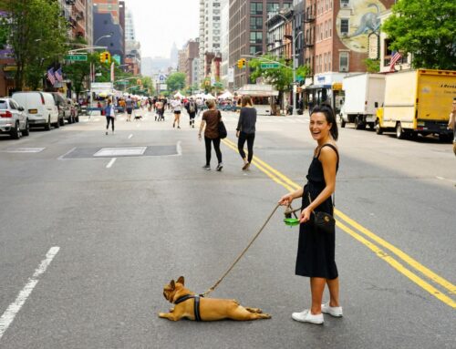 How a Queens Injury Lawyer Can Protect Your Rights as a Pedestrian?